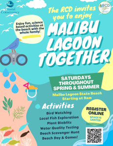 MLT Flyer Image_English